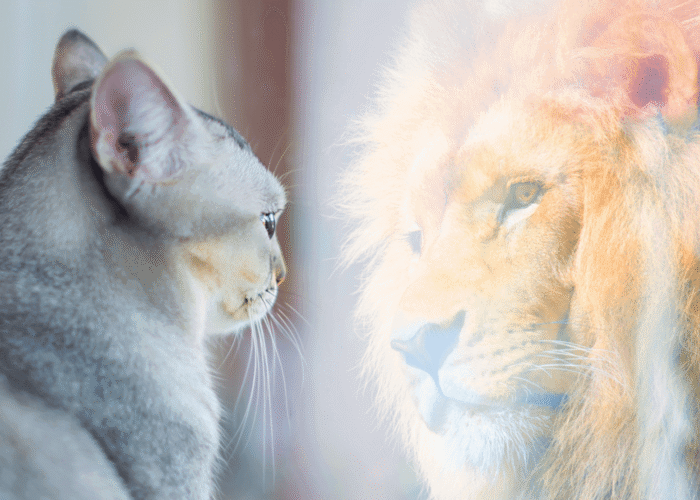 International Boost Self-Esteem Month